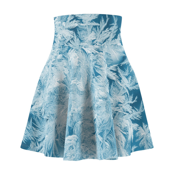 Frost Bite Skater Skirt